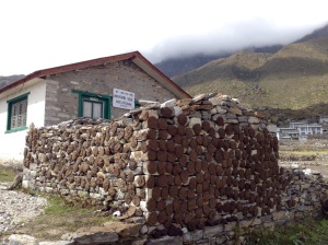 The drying of yak dung.